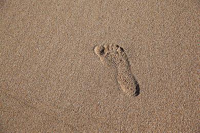 《Apex英雄》第13赛季“救世主”中文实机预告